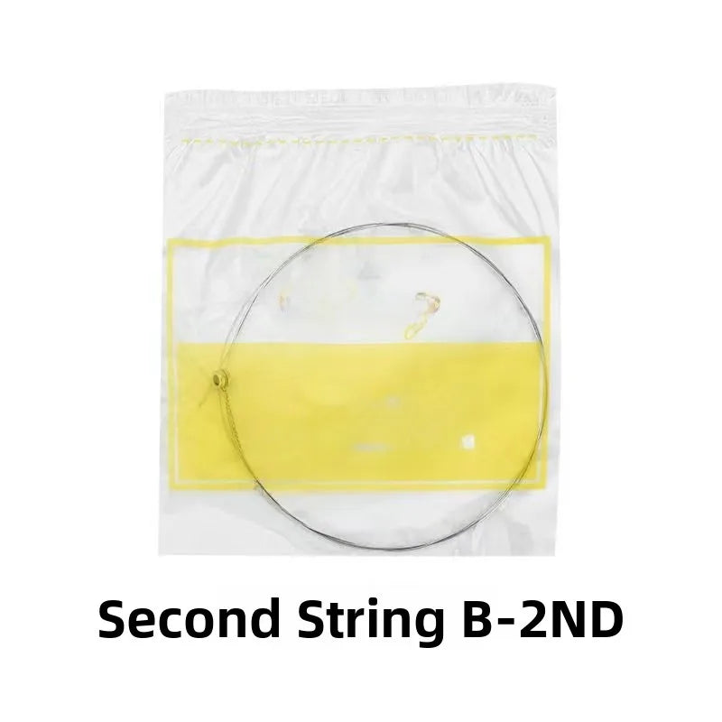Folk Guitar String Set